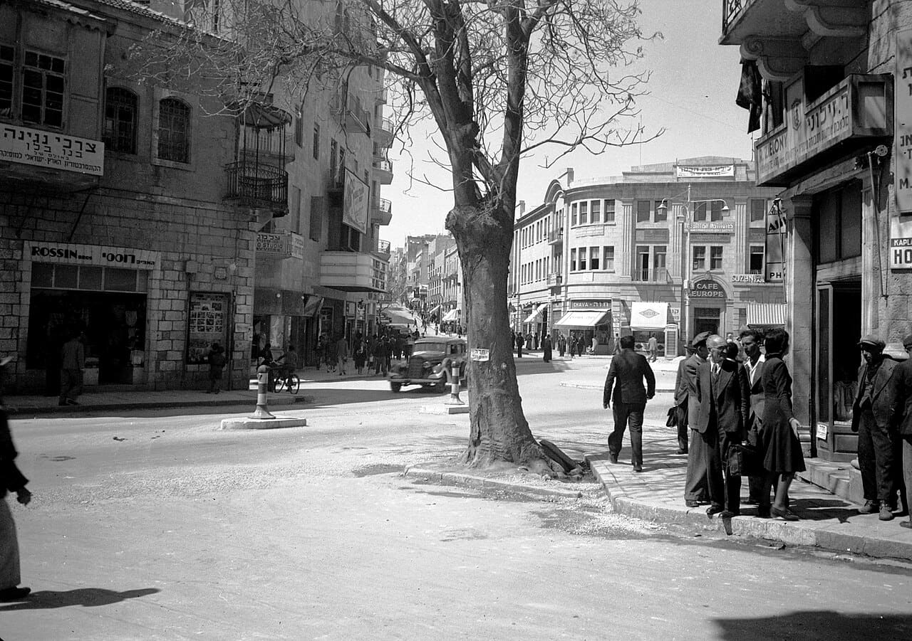 מבוך של פח, יוטה וחיים: האנטומיה הנסתרת של מחנה יהודה